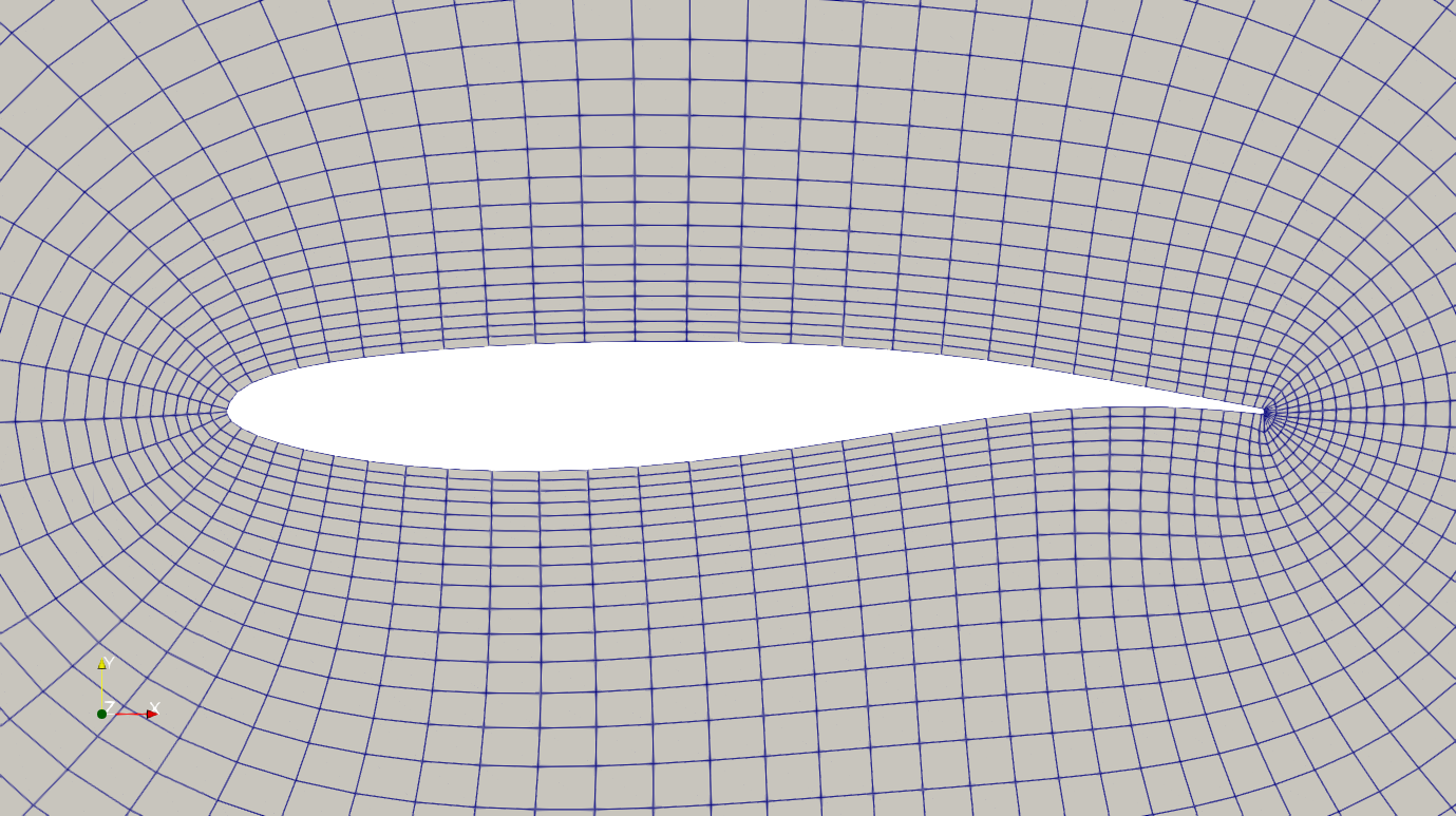 Airfoil mesh snapshot